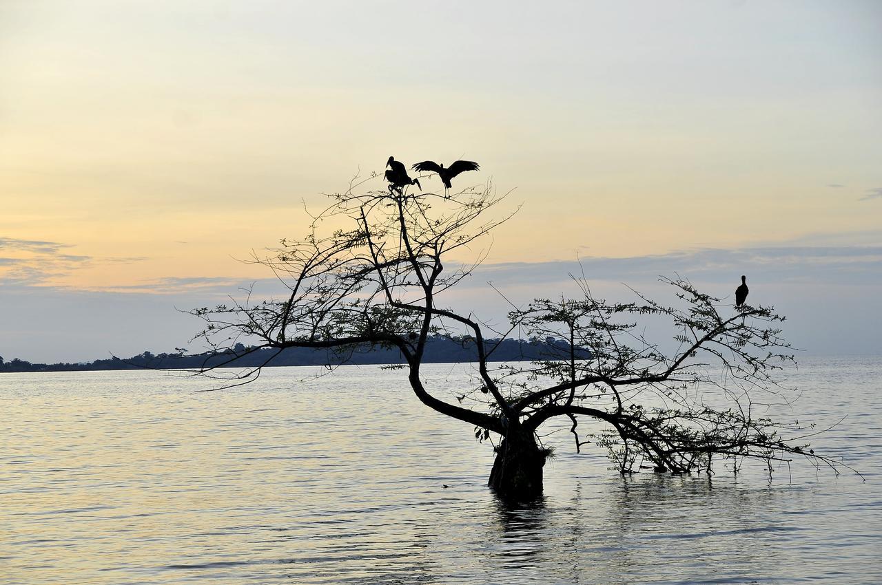 Brovad Sands Lodge カランガラ県 エクステリア 写真