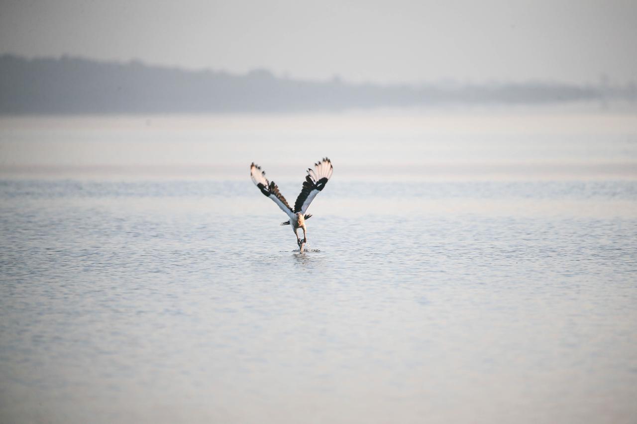Brovad Sands Lodge カランガラ県 エクステリア 写真